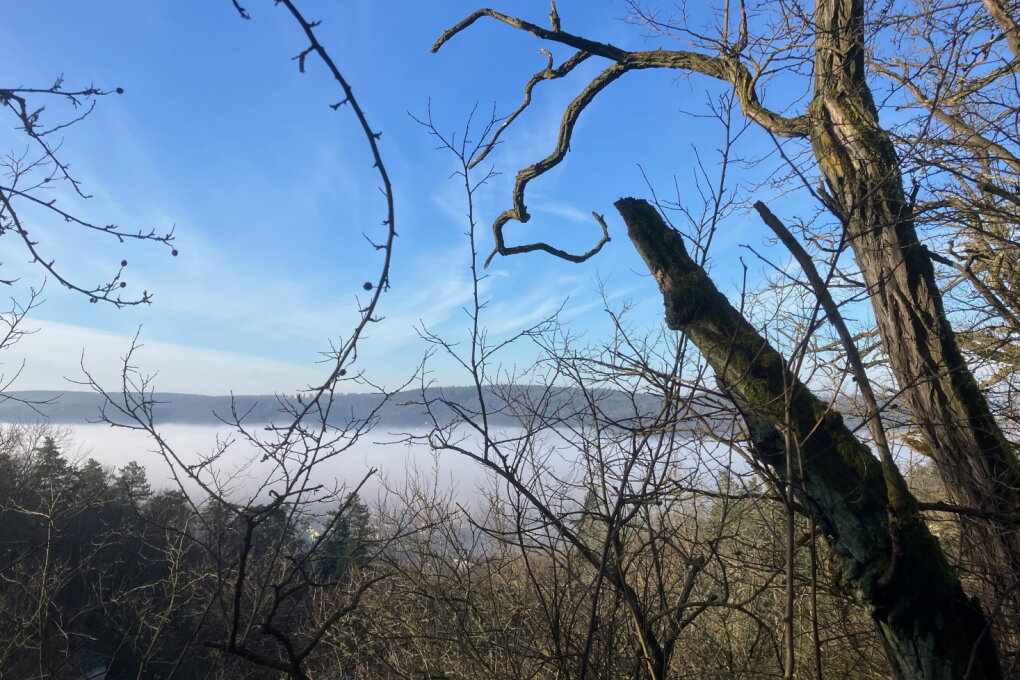 Tomáš Šenkyřík: Soundscapes of Brno, Human And Non-Human Sounds
